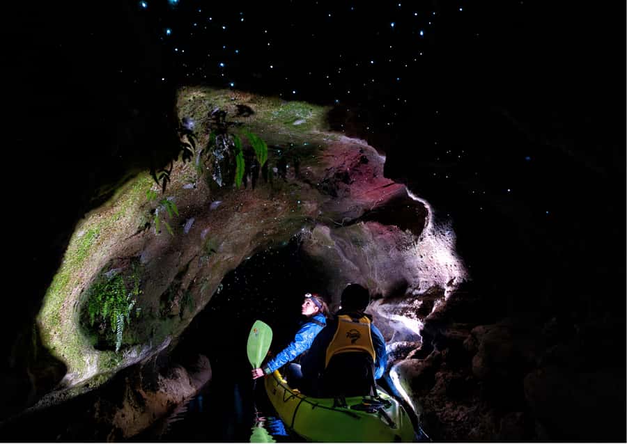 Rotorua: Glow Worm Kayak Tour - Should you book the glow worm kayak tour?