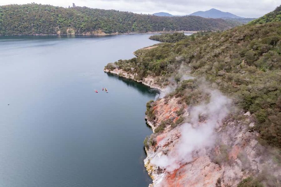 Rotorua: Waimangu Valley Walk and Steaming Cliffs Kayak Tour - What the small group changes