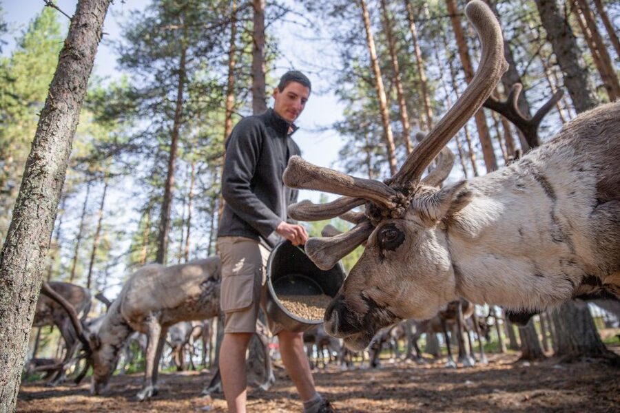 Rovaniemi: Authentic Reindeer Farm & Canoeing - What four hours feels like
