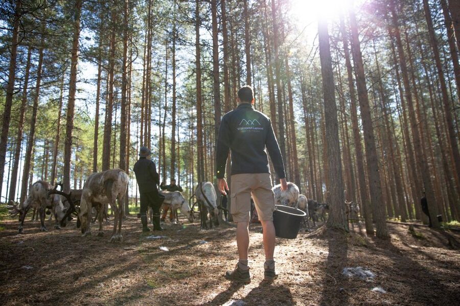 Rovaniemi: Authentic Reindeer Farm & Canoeing - Who will enjoy this experience most?