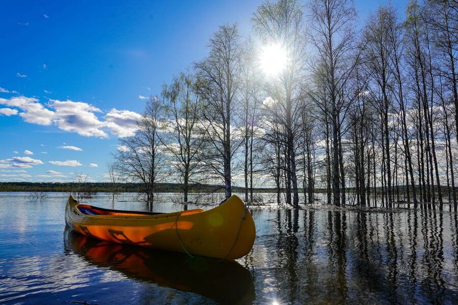 Rovaniemi: Authentic Reindeer Farm & Canoeing - Helpful booking details for a smooth day