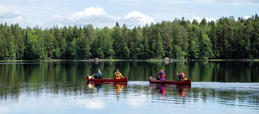 Rovaniemi: Guided Wilderness Kayaking Adventure - Leaving Rovaniemi by included pickup