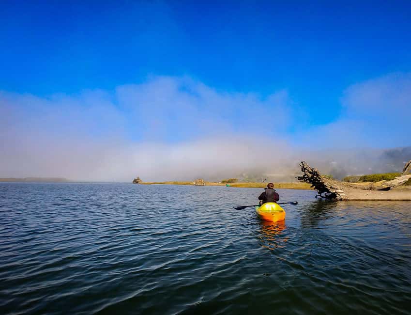 Russian River: Kayak Tour - A Quiet Start Near Jenner