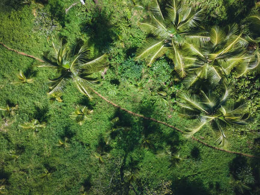 Sabana de la Mar: Los Haitises Guided Hike and Kayaking - What the $67 price really covers