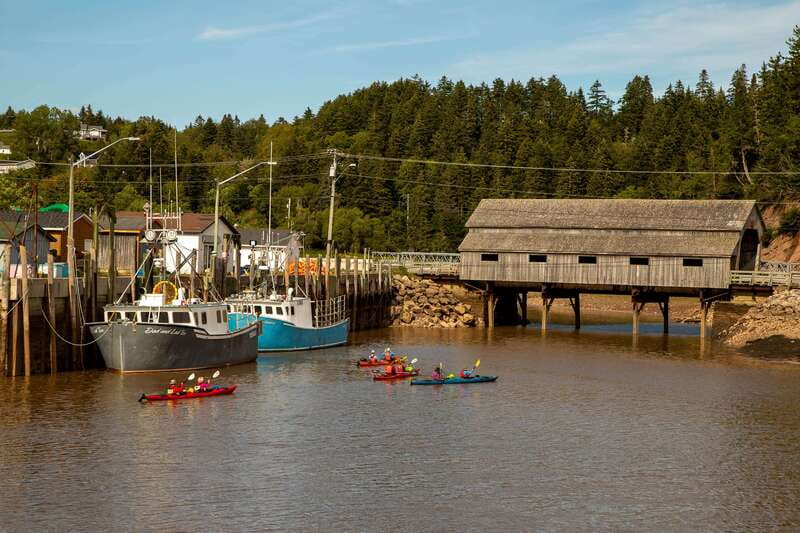 Saint John: Guided Kayaking Tour of St. Martins Sea Caves - Paddling through St. Martins Harbour