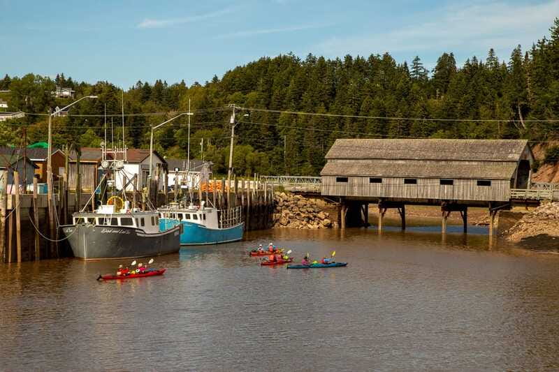 Saint John: Guided Kayaking Tour of St. Martins Sea Caves - Is the $74 price good value?