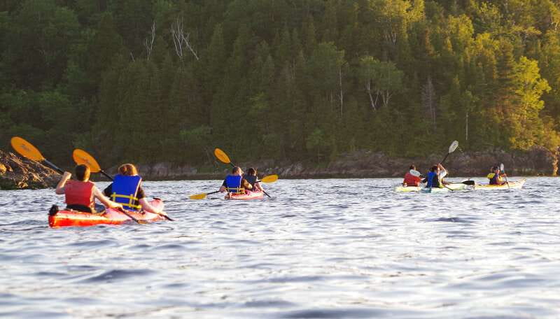 Saint John River: River Relics Kayak Tour - The fossils that changed the scientific record