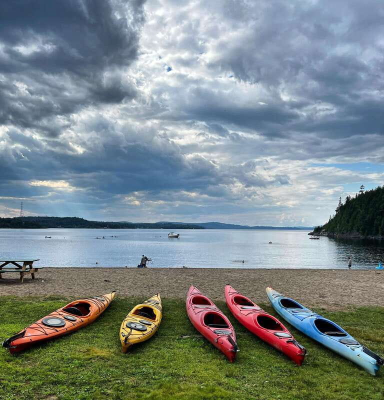 Saint John River: River Relics Kayak Tour - Wildlife: keep your eyes moving