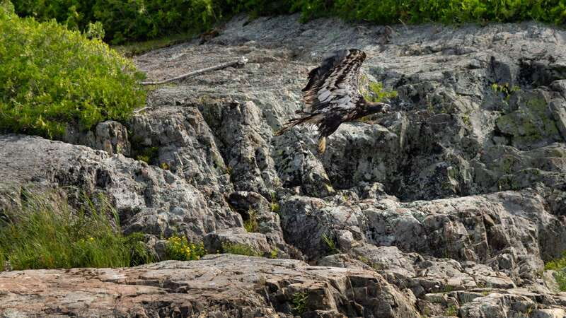 Saint John River: River Relics Kayak Tour - Is $83 a fair price for two hours?
