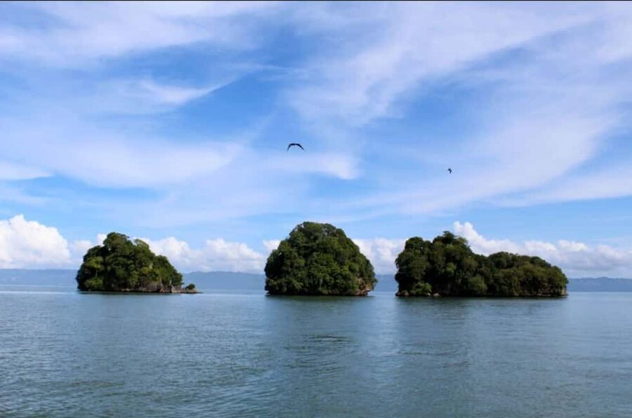 Samana: Los Haitises Kayaks & Caño Hondo Pools Tour w/ Lunch - Kayaking the mangrove channels