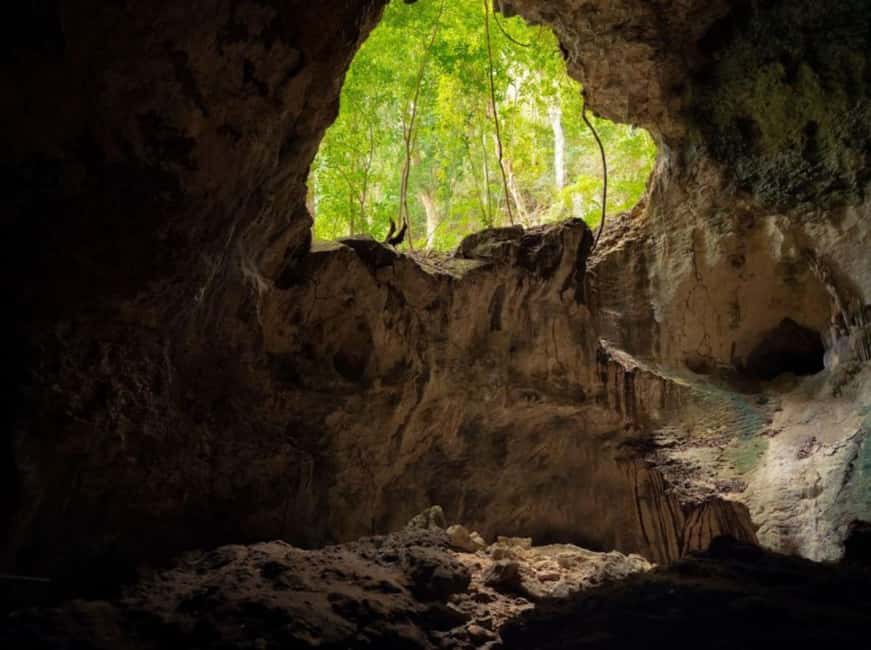 Samana: Los Haitises Kayaks & Caño Hondo Pools Tour w/ Lunch - A cave visit may add variety