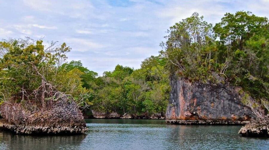 Samana: Los Haitises Kayaks & Caño Hondo Pools Tour w/ Lunch - The Samaná ferry sets the pace