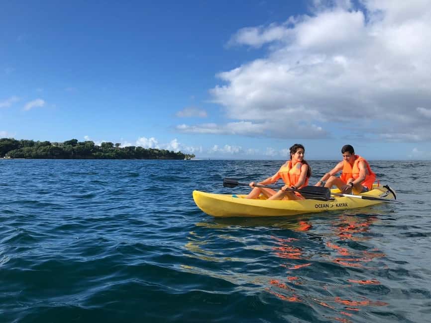 Samaná: Whale, Cayo Levantado, & Kayak in Samaná Bay Tour - Who should book this experience