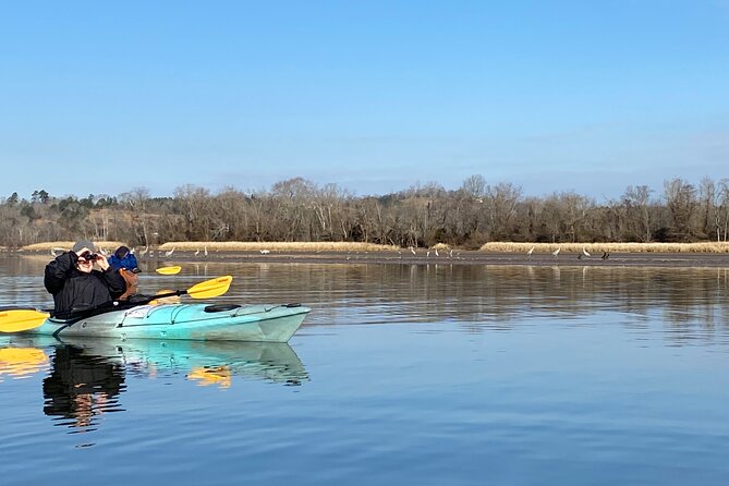 Sandhill Crane Kayak Tour with Chattanooga Guided Adventures - What you may see besides sandhill cranes