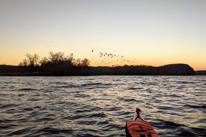 Sandhill Crane Kayak Tour with Chattanooga Guided Adventures - Booking dates and cancellation rules
