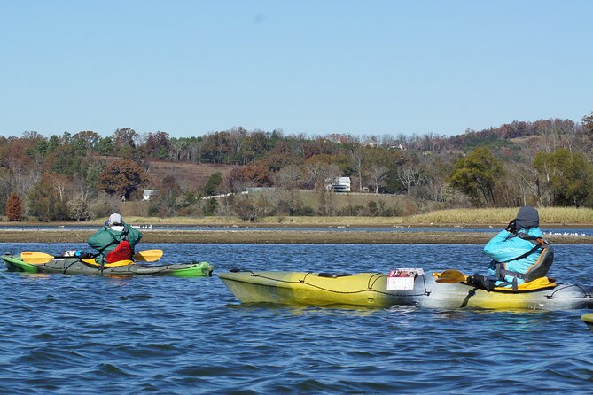 Sandhill Crane Kayak Tour with Chattanooga Guided Adventures - Meeting at the Cherokee Removal Memorial