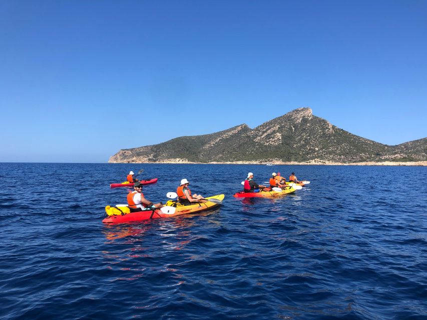 Sant Elm: Guided kayak tour to the island Dragonera - Key points to know before booking