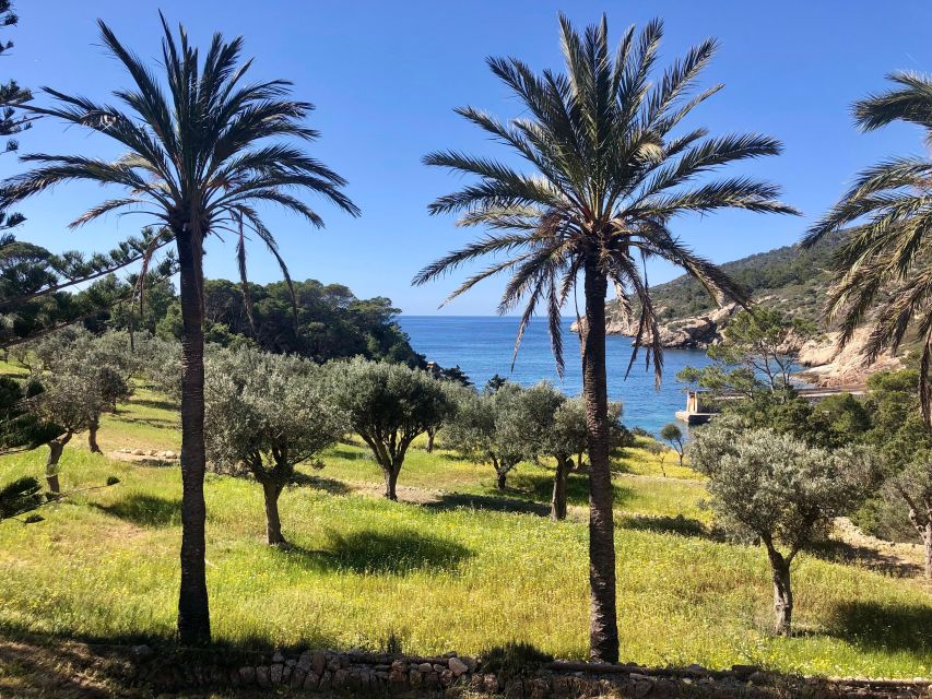 Sant Elm: Guided kayak tour to the island Dragonera - Entering the small natural harbor