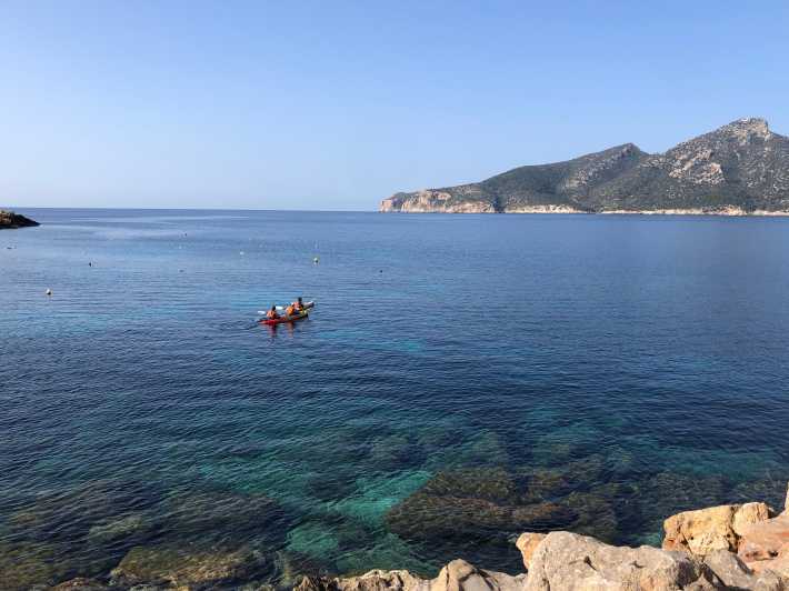 Sant Elm: Guided kayak tour to the Island Dragonera & Hiking - Why this Dragonera trip is worth your morning