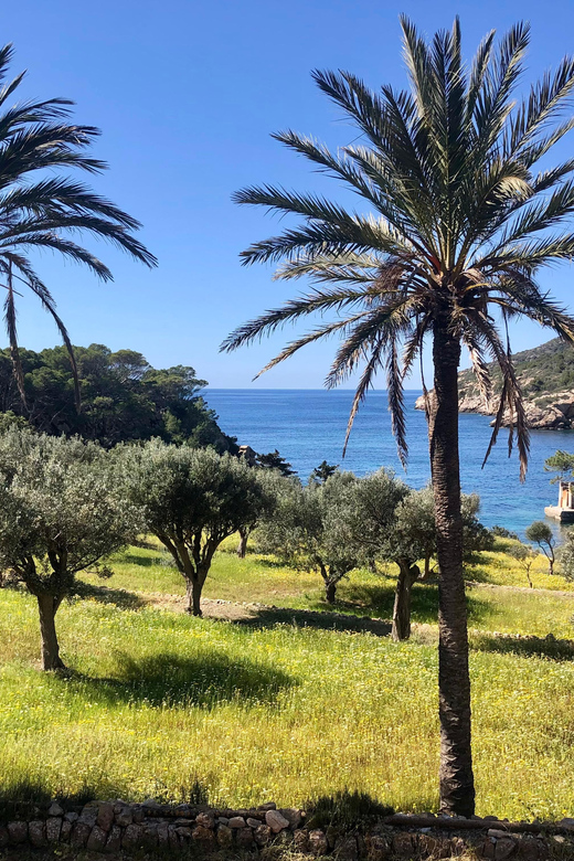 Sant Elm: Guided kayak tour to the Island Dragonera & Hiking - Starting in Sant Elm and crossing by kayak