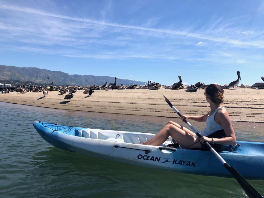 Santa Barbara: 1.5-Hour Harbor Kayak Tour - Ten minutes along the Harbor Walk