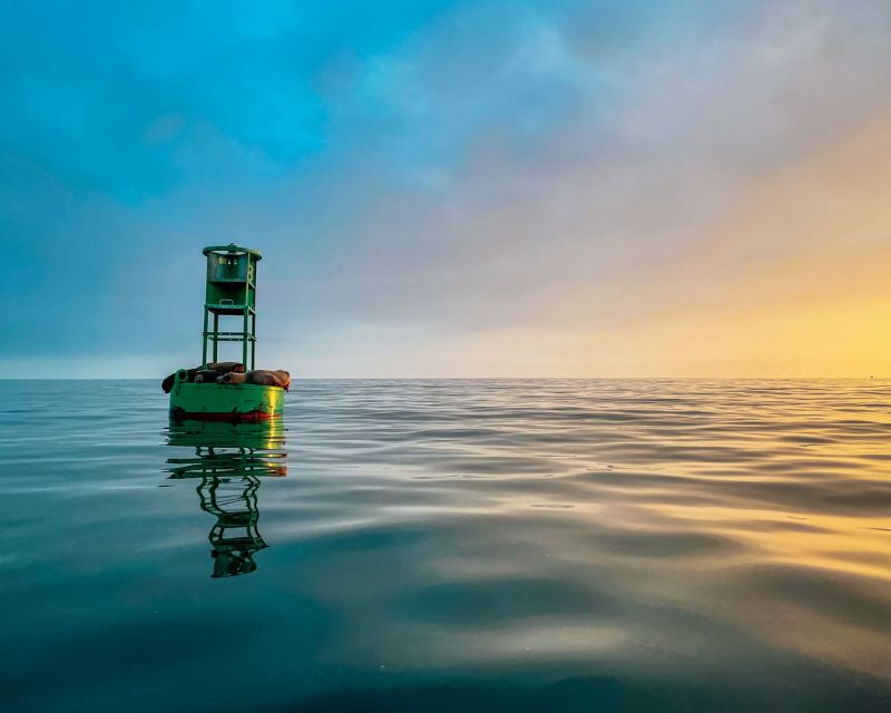 Santa Barbara Harbor: Sunset Kayak Tour (2 Hours) - Key details before you book