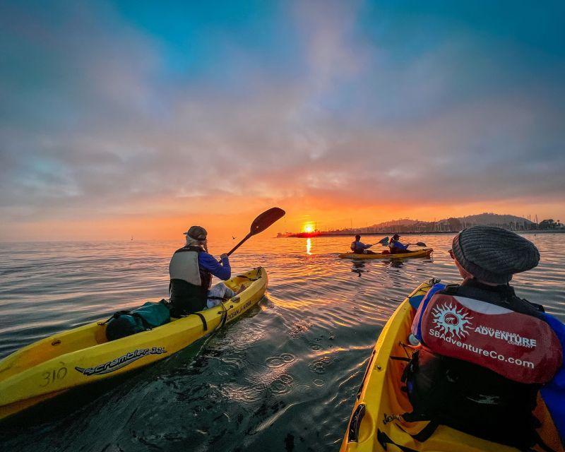 Santa Barbara Harbor: Sunset Kayak Tour (2 Hours) - Sunset colors, sea lions, and brown pelicans
