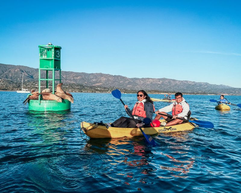 Santa Barbara Harbor: Wildlife Kayak Tour (2 Hours) - Key points to know before you book