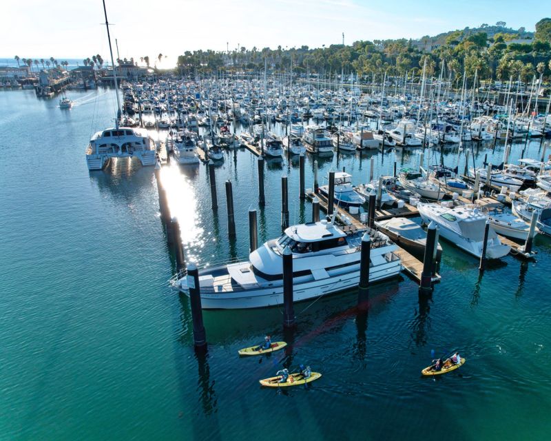 Santa Barbara Harbor: Wildlife Kayak Tour (2 Hours) - Through the harbor, past boats and the historic wharf