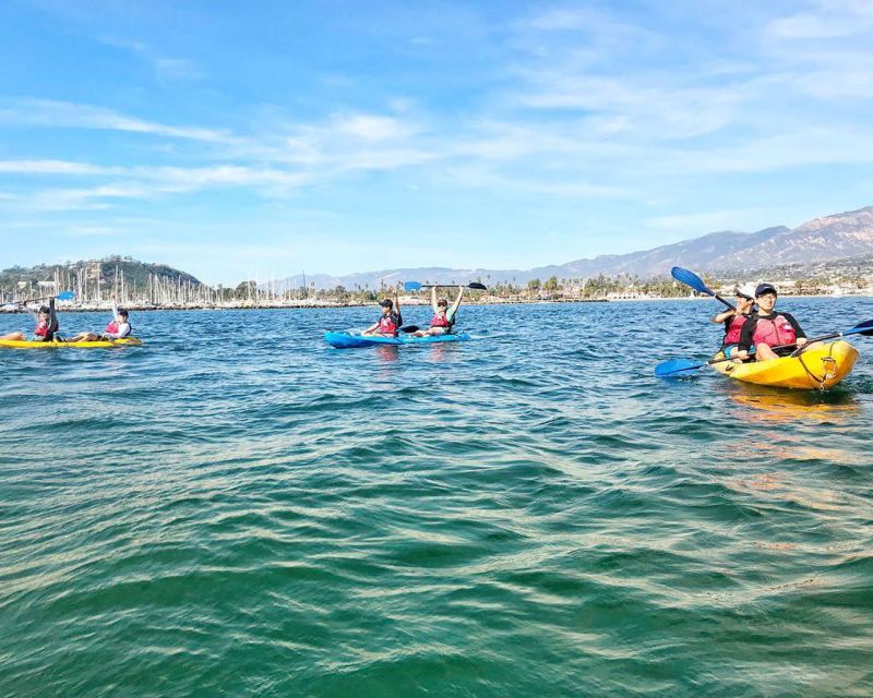 Santa Barbara Harbor: Wildlife Kayak Tour (2 Hours) - The wildlife you may see from the kayak