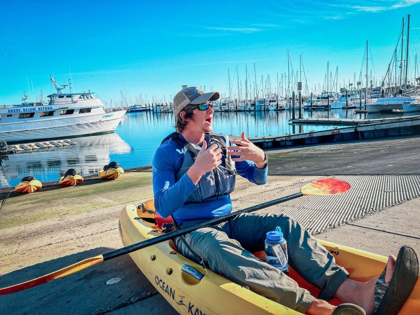 Santa Barbara Harbor: Wildlife Kayak Tour (2 Hours) - Who will enjoy this Santa Barbara kayak tour