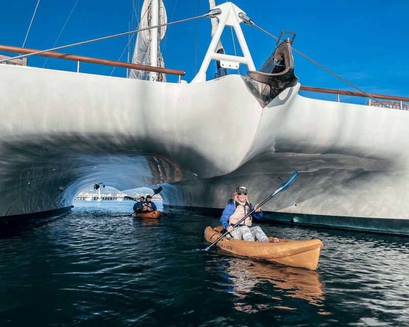Santa Barbara Harbor: Wildlife Kayak Tour (2 Hours) - Should you book the two-hour harbor paddle?