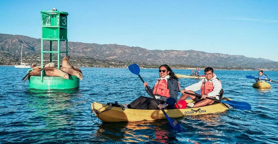 Santa Barbara Harbor: Wildlife Kayak Tour (2 Hours) - The first strokes are easy, but kayaking still takes work
