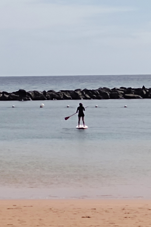 Santa Cruz de Tenerife: Las Teresitas Stand Up Paddle Course - Who may want a different experience