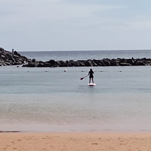 Santa Cruz de Tenerife: Las Teresitas Stand Up Paddle Course - Timing, group size, and language