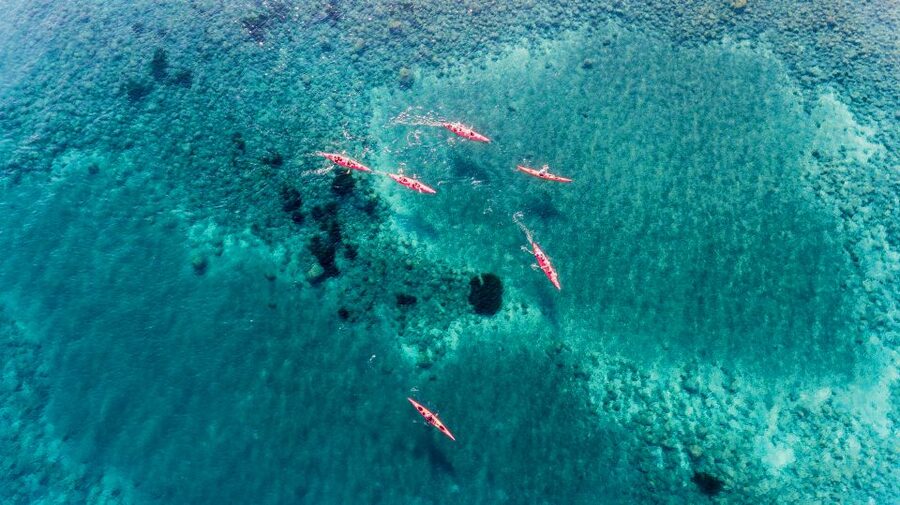 Santorini: Sea Kayaking with Light Lunch - The local taverna meal