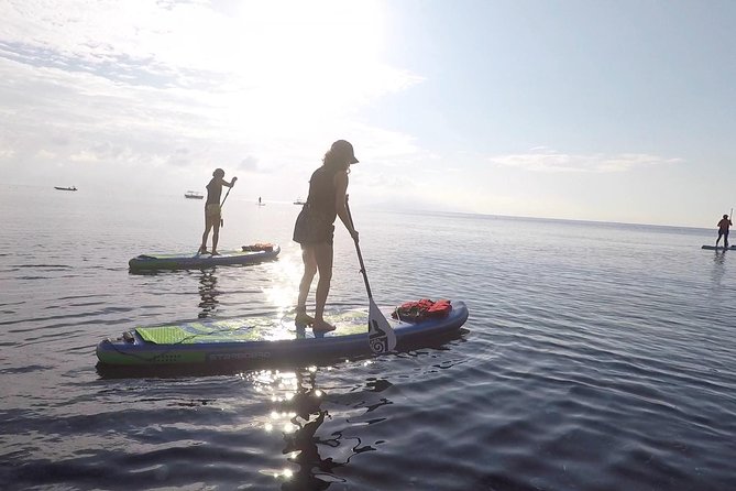 Santorini: Stand-Up Paddle and Snorkel Adventure - Why this is a good way to see Santorini from the water