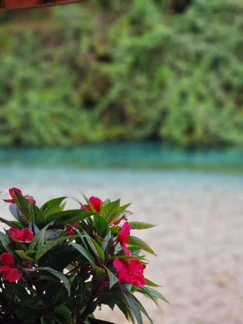 Sarande: Blue Eye Kayak and walking tour & Lekursi Castle - Small details that improve the day