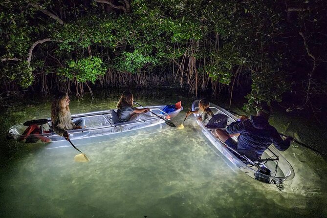 Sarasota - Clear Kayak LED Night Glass Bottom Tour - Key points to know before you book