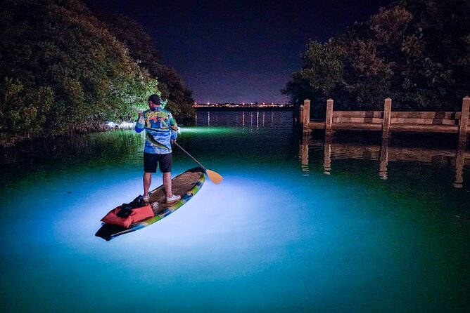Sarasota - Clear Kayak LED Night Glass Bottom Tour - Why the clear LED kayak is the main attraction