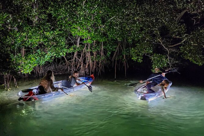 Sarasota - Clear Kayak LED Night Glass Bottom Tour - Who will get the most from the $65 price