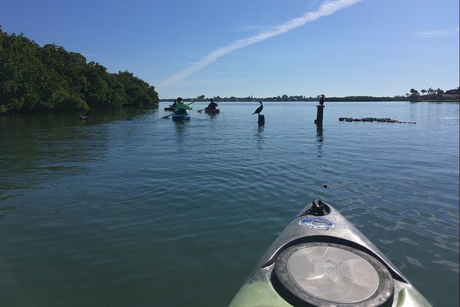 Sarasota Guided Mangrove Tunnel Kayak Tour - Why the mangrove tunnels make this Sarasota outing special