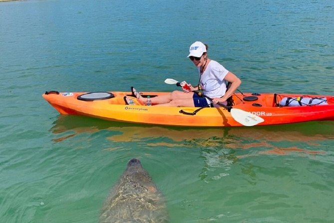 Sarasota Guided Mangrove Tunnel Kayak Tour - What happens at 190 Taft Drive
