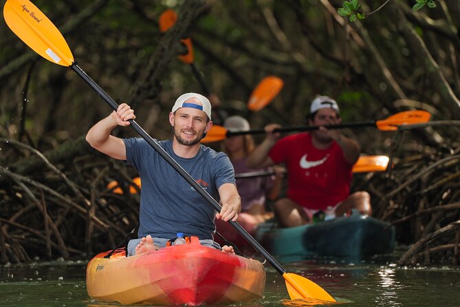 Sarasota Mangrove Tunnel Guided Kayak Adventure - Why the Mangrove Tunnels Are the Main Event