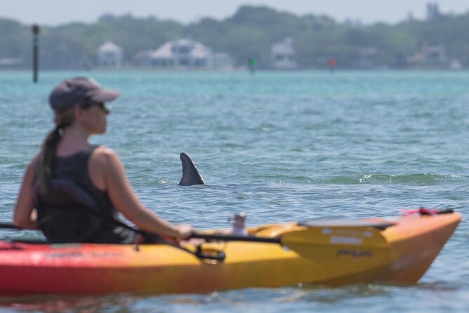Sarasota Mangrove Tunnel Guided Kayak Adventure - Guides Who Make the Difference