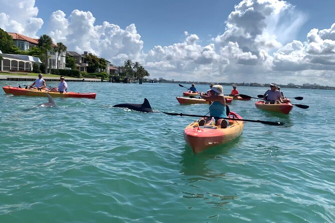 Sarasota Mangrove Tunnel Guided Kayak Adventure - Value at $65 Per Person