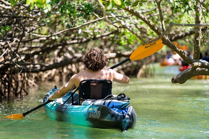 Sarasota Mangrove Tunnel Guided Kayak Adventure - Weather, Tide, and Timing Matter