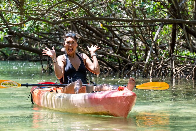 Sarasota Mangrove Tunnel Guided Kayak Adventure - The Route From Ted Sperling Nature Park