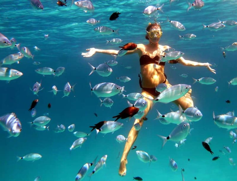 Sardinia: Morning Kayak Tour + Snorkeling and Local Aperitif - Starting at Cala Suaraccia, also called Le Farfalle