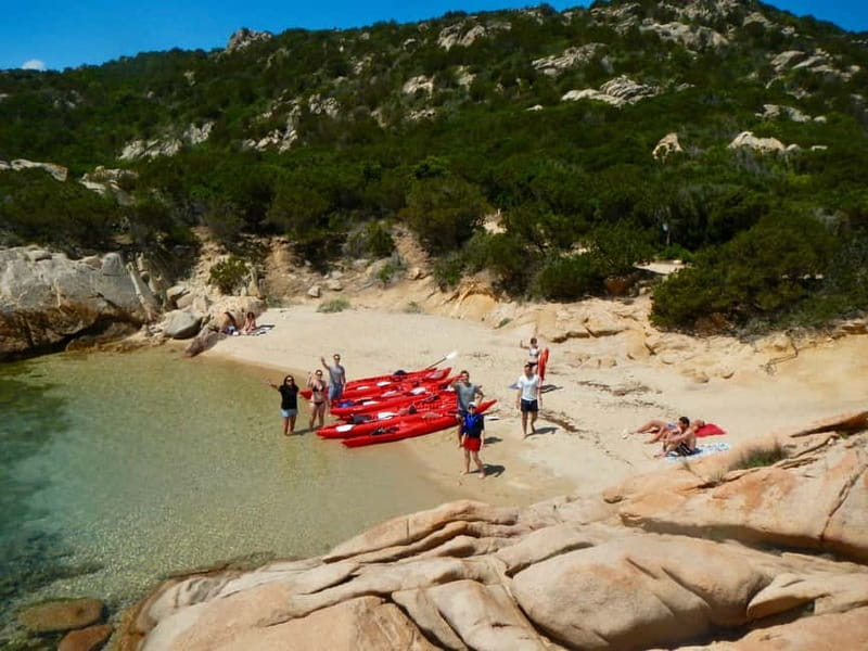 Sardinia: Morning Kayak Tour + Snorkeling and Local Aperitif - What the $64 price gets you